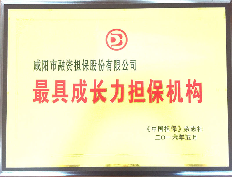 《中国担保杂志社》授予“最具成长力机构”
